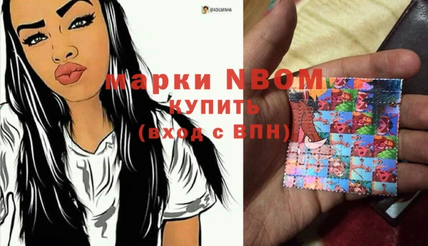 стаф Белокуриха